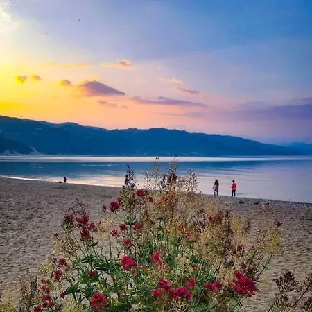 Апартаменты Luxe *